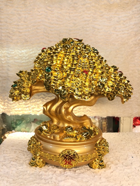 Cây kim tiền phong thuỷ to