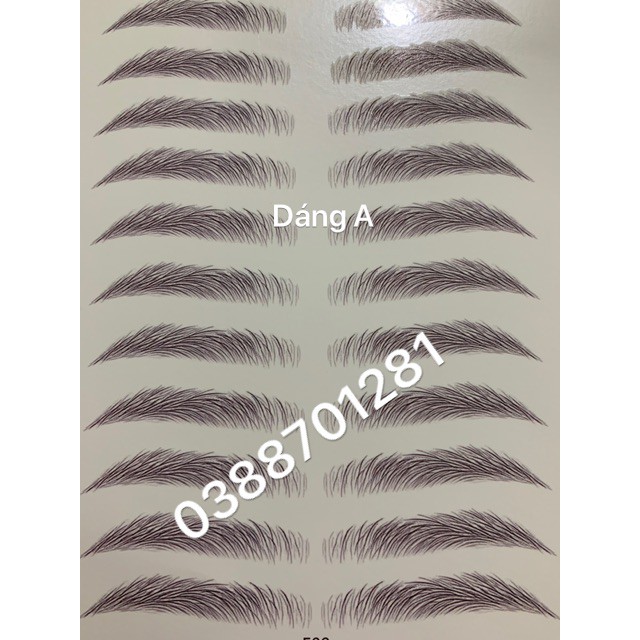 Xăm lông mày 3D - 1 bộ 11 cặp [ Có clip hương dẫn ] | BigBuy360 - bigbuy360.vn