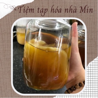 Combo Kombucha + 50gr chè xanh + 10 túi lọc trà mạn