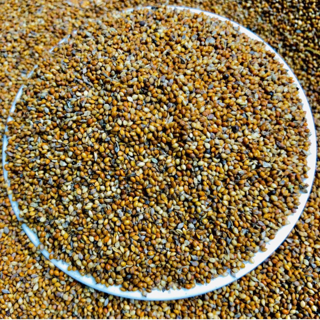 Hạt kê đỏ nhỏ Ấn Độ vỏ mềm, thức ăn dành cho chim cảnh, Vẹt, Yến Phụng, Manh Manh, Finch, 7Màu, Bạc Má, các dòng chim sẻ