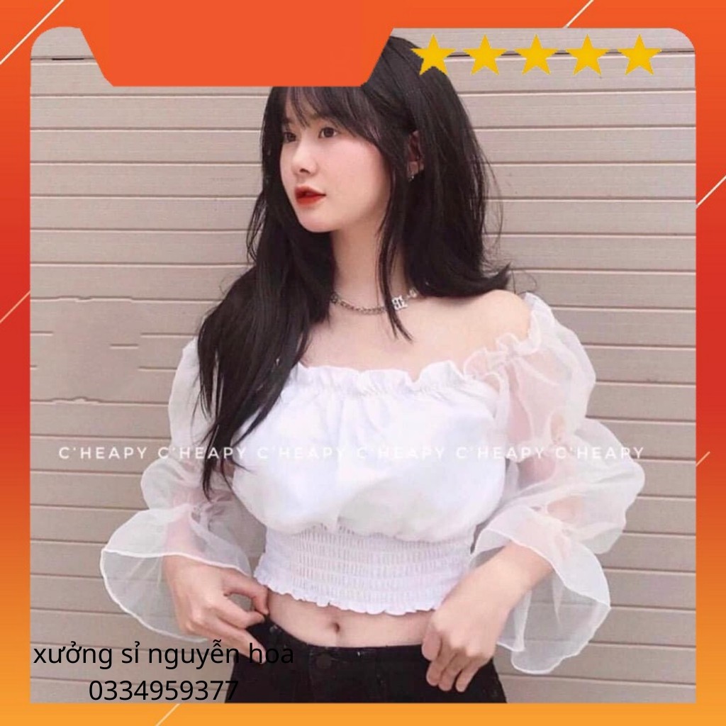 Áo croptop trễ vai, bo eo phối tay lưới sành điệu (kèm video/ảnh thật) xưởng sỉ nguyễn hoa