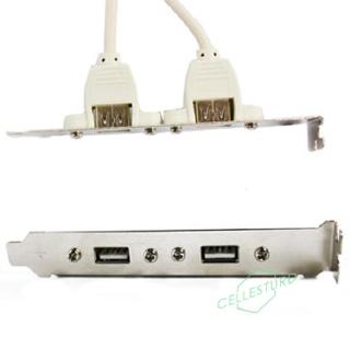 CS 2 Port Rear Panel Bracket Motherboard Cable USB 2.0 Connector Cable Adapter