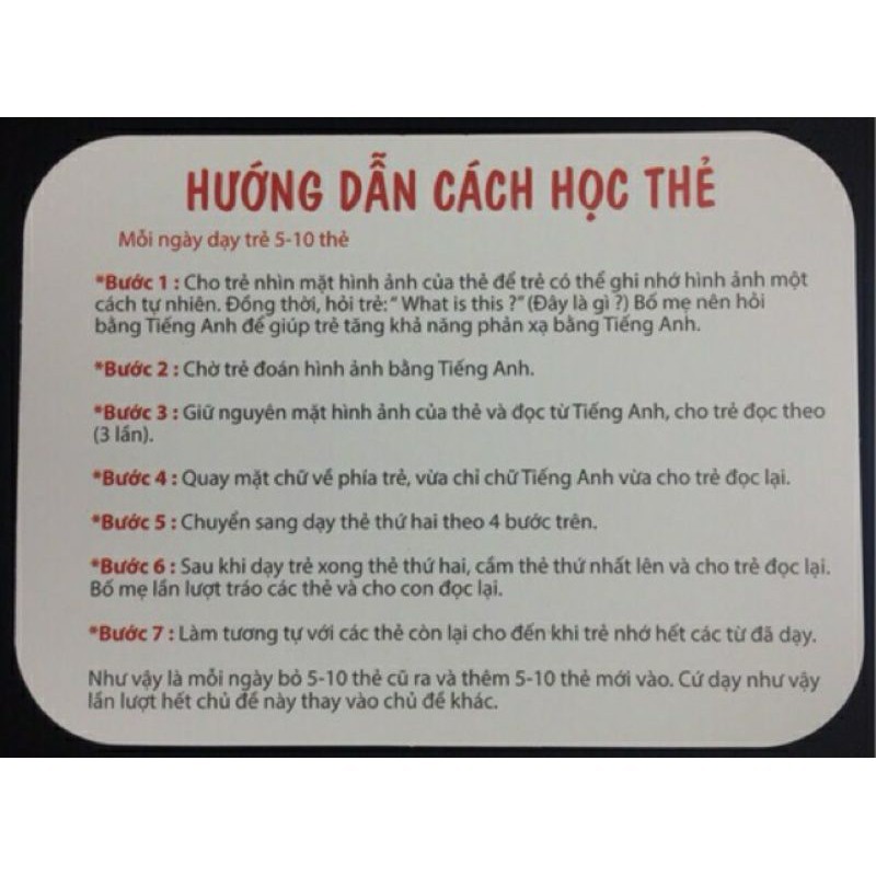 Bộ Thẻ Học Thông Minh 19 Chu Đề Loại To Song ngữ tiếng Anh loại chuẩn Glenn Doman Flashcard cho bé từ 0-6 tuổi
