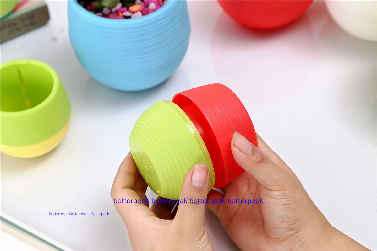 Giá sỉ Chậu Cây Xương Rồng Mini Nhiều Màu Sắc