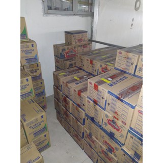 Combo 2 cây kem đánh răng trẻ em Kodomo