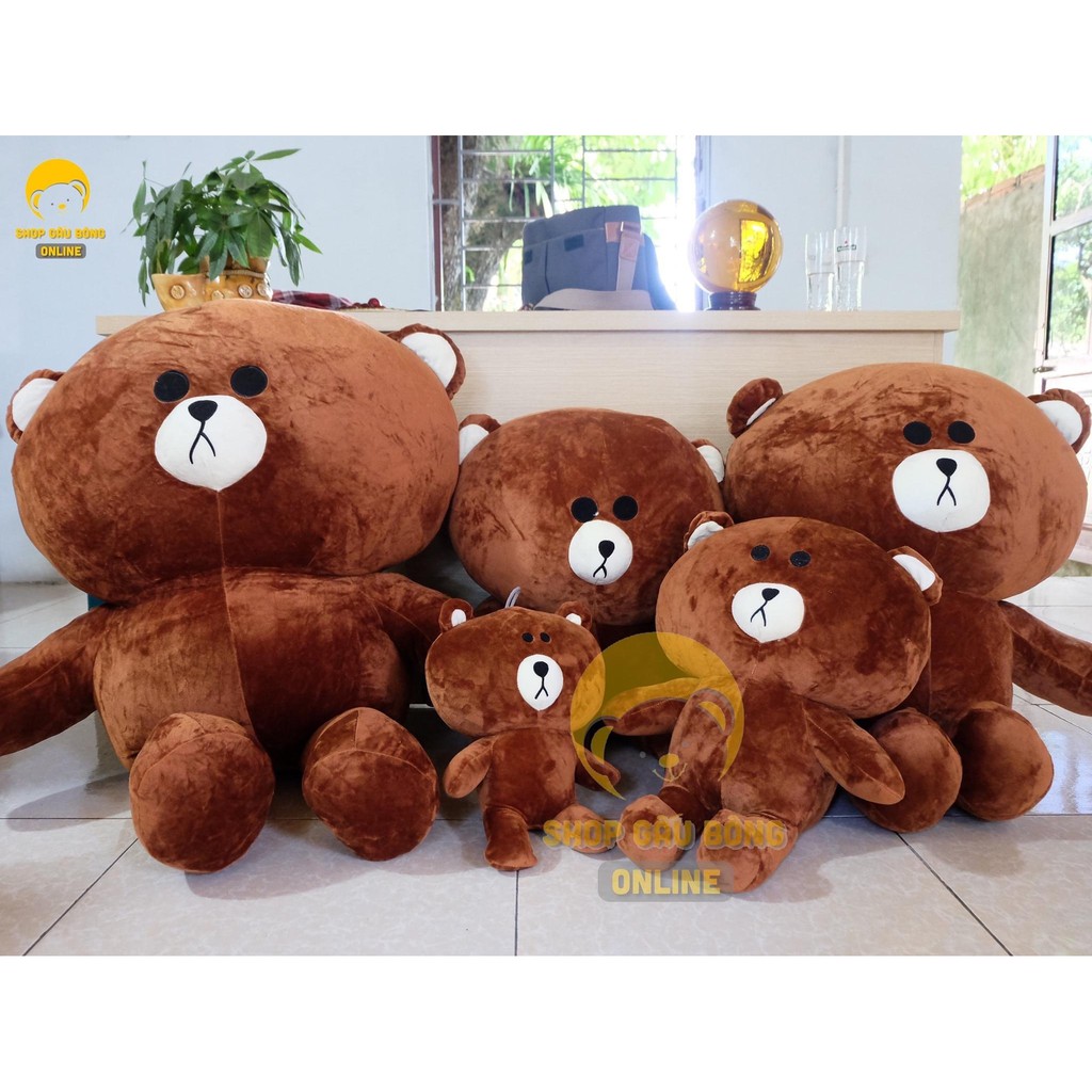 Gấu brown siêu hót khổ 50cm, 80cm, 1m, 1m3, 1m5