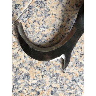 cu liêm đực dừa