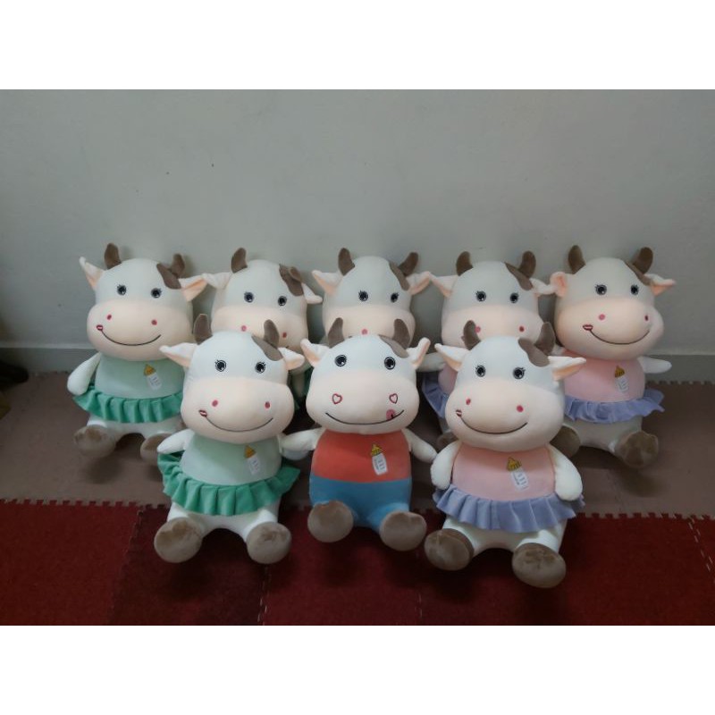 Trâu mặc áo bình sữa