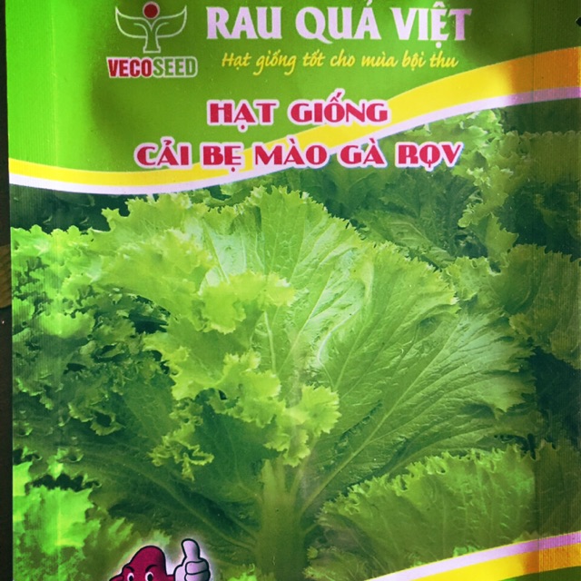 Hạt giống cải bẹ mào gà Rau Quả Việt - 6,5k/ gói 20g