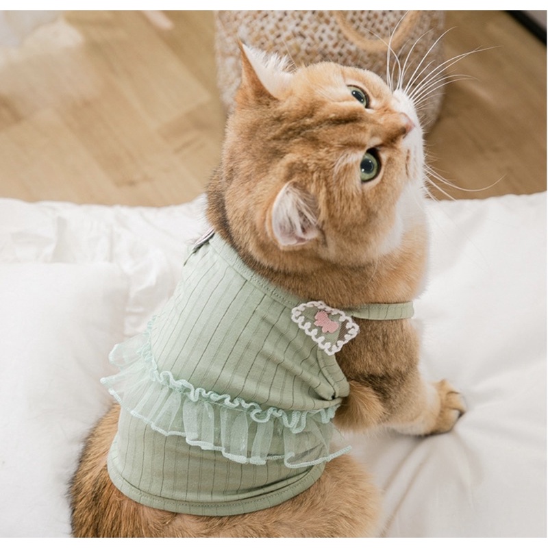 [Có sẵn] Áo hai dây thun gân phối ren cho thú cưng