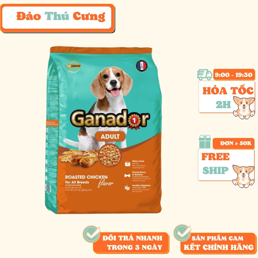 [3kg] Hạt Ganador Cho Chó Trưởng Thành Vị Gà Quay