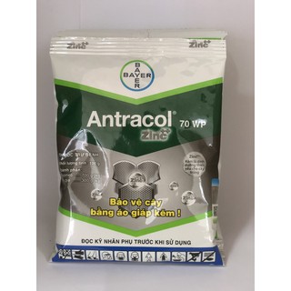 Antracol 70WP Gói/100G - Phòng Trừ Nấm Bệnh Cây Trồng