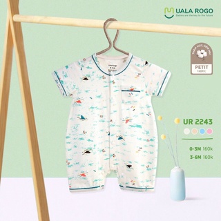 Body đùi Uala Rogo