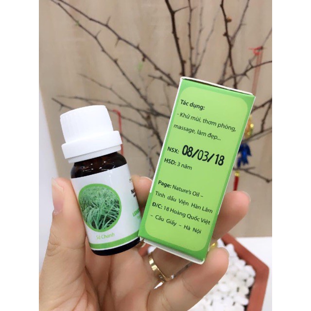 Tinh dầu sả chanh - Viện KHCN VN