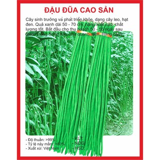 Hạt giống đậu đũa 20gr
