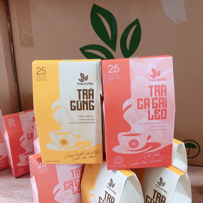 Combo Trà Phòng Bệnh Lúc Giao Mùa 5 Trà Cà Gai Leo và 5 Trà Gừng Phòng | BigBuy360 - bigbuy360.vn