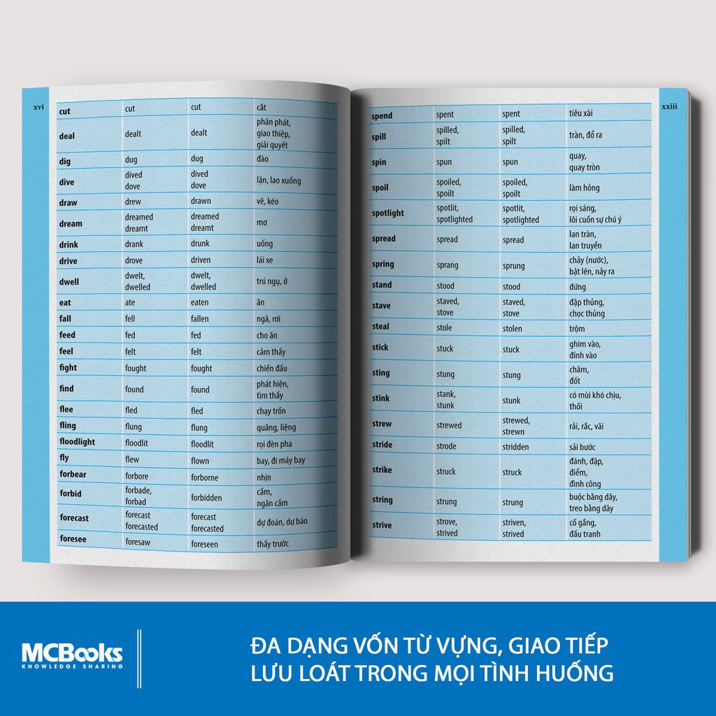 Sách Từ điển AnhAnhViệt dành cho học sinh (Tái bản 2020) MCBooks