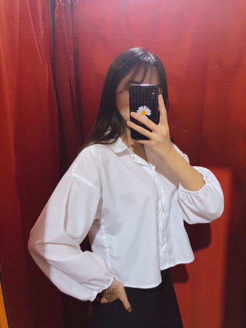 Sơ mi trơn