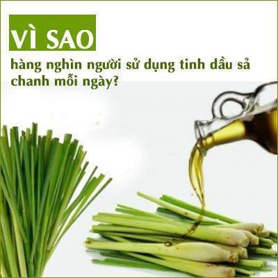 Tinh dầu sả chanh 100ml