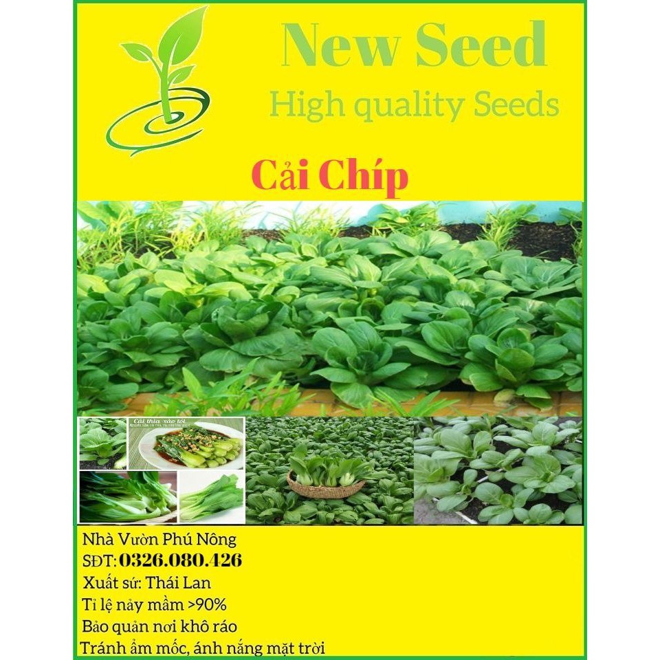 Hạt giống rau cải thìa dễ trồng kháng bệnh tốt năng suất cao [gói 200gram,500gram,1kg]