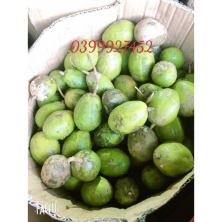 1kg Cóc thường ( chua ngọt)