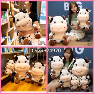 Gấu bông bò sữa