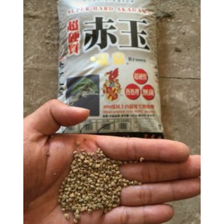Đất nền Akadama, đất sét nhật ( bán lẻ 1kg)