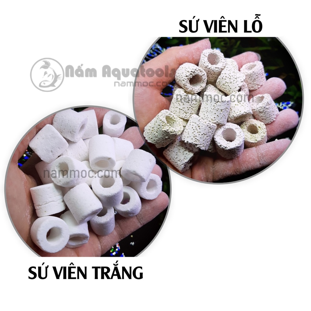 [100gr] Sứ Viên Trắng | Sứ Lỗ Trắng - Vật liệu lọc nước cho bể cá cảnh, bể thuỷ sinh