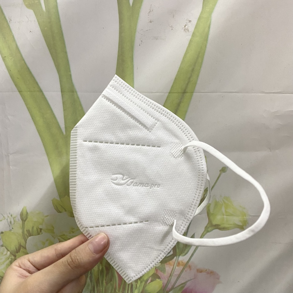 Khẩu trang y tế NAM ANH kháng khuẩn 5 lớp FAMAPRO VN95 dạng TÚI