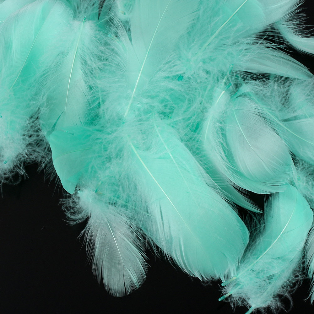 Set 100 Lông Vũ Nhiều Màu Sắc Dùng Để Trang Trí