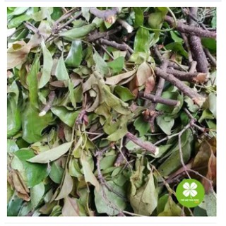 1KG Cây tầm gửi gạo khô - OLF238