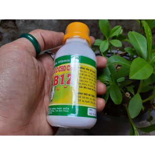 Chế Phẩm Vitamin B12- Giải Độc Cho Hoa Lan, Cây Do Qúa Liều Phân Thuốc, Cây Sốc Nhiệt, Tái Tạo Tế Bào Chai 100ml