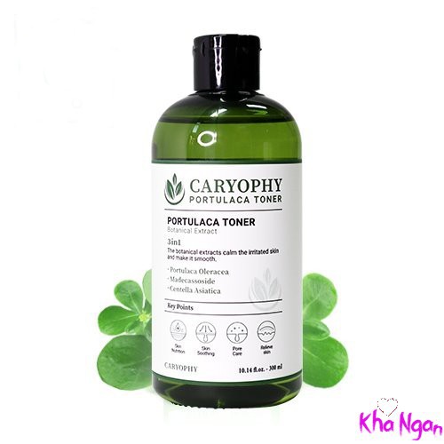 Nước Hoa Hồng toner Giảm Mụn Caryophy Portulaca Toner 300ml