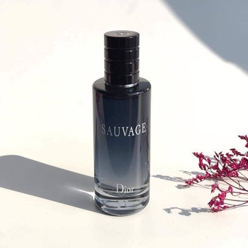 Nước hoa Nam Dior Sauvage 100ml | Thế Giới Skin Care