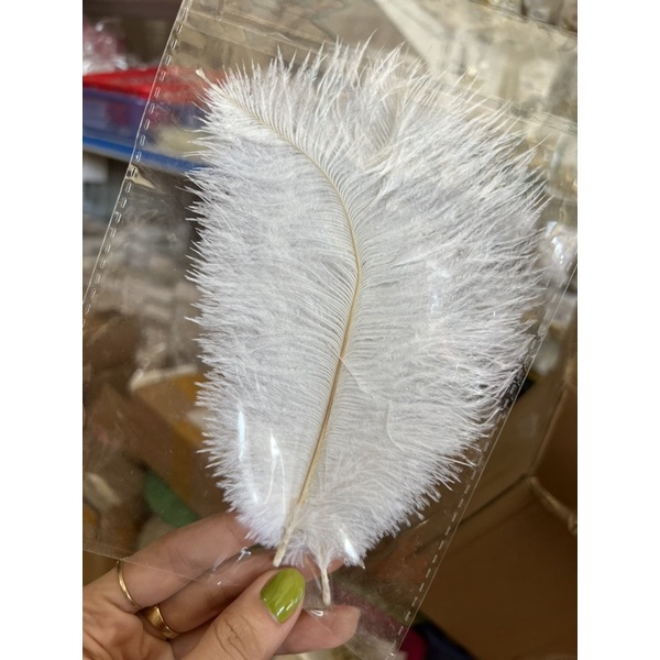 Lông vũ chụp ảnh(sét 2 cái)