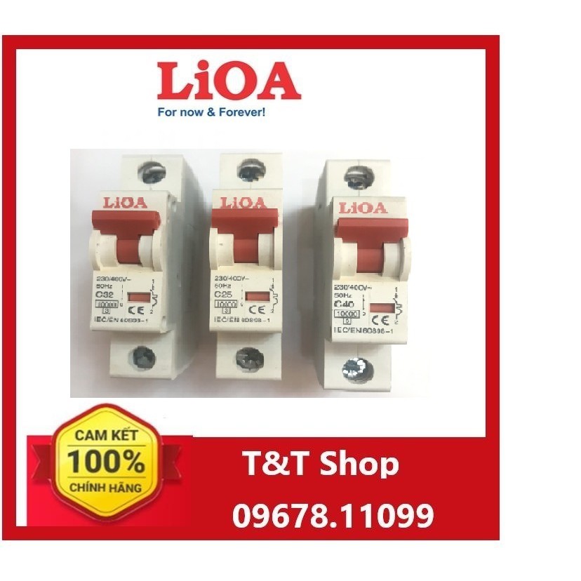 Cầu dao tự động  1 pha 10kA LiOA