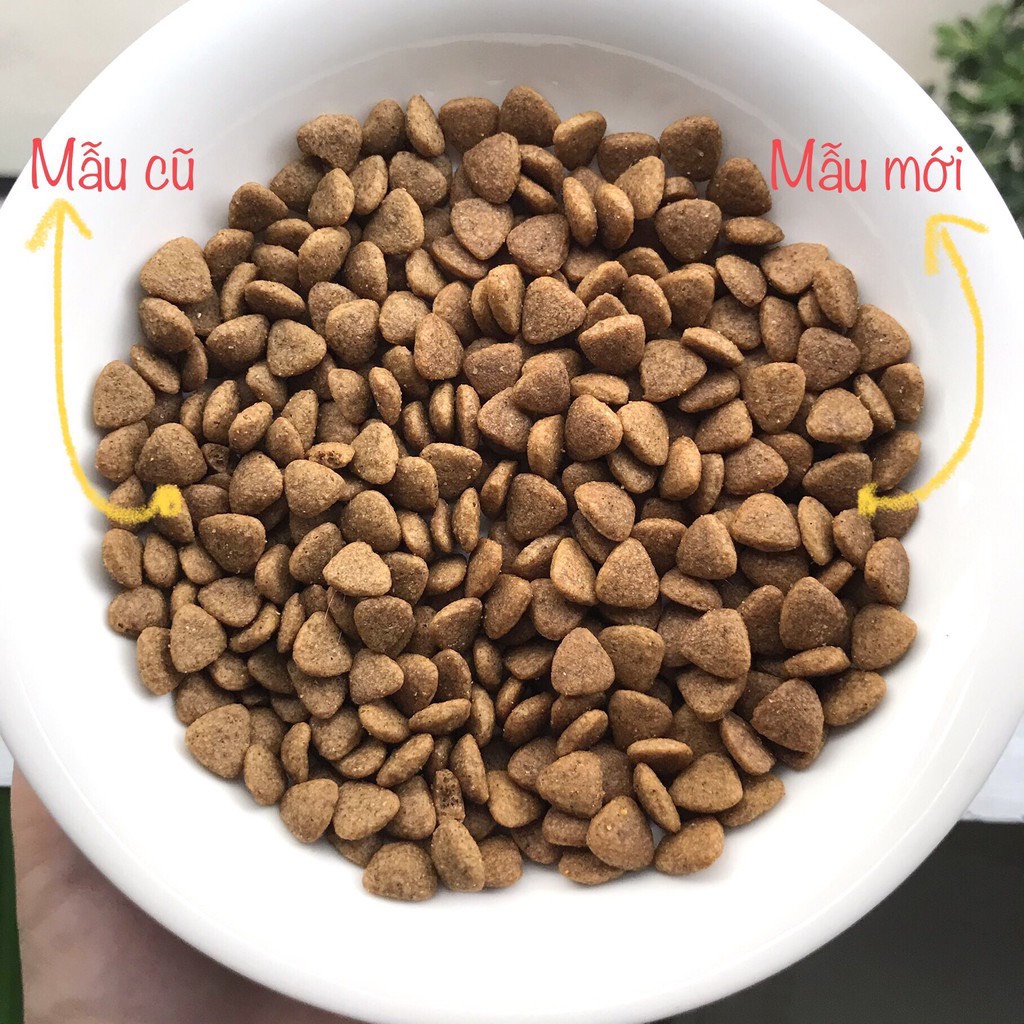 (HỎA TỐC) Hạt cho Mèo CATSRANG Hàn Quốc 5kg | CATS RANG Bao 5kg