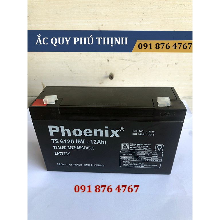 Ắc quy lưu điện Phoenix 6V - 12Ah TS6120
