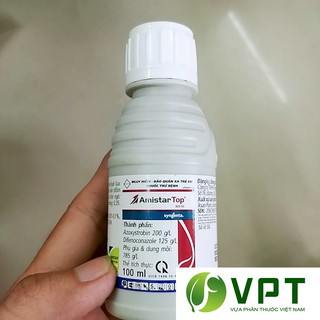 Amistar Top 325SC – Thuốc trị thán thư, thối thân CỰC MẠNH chai 100ml