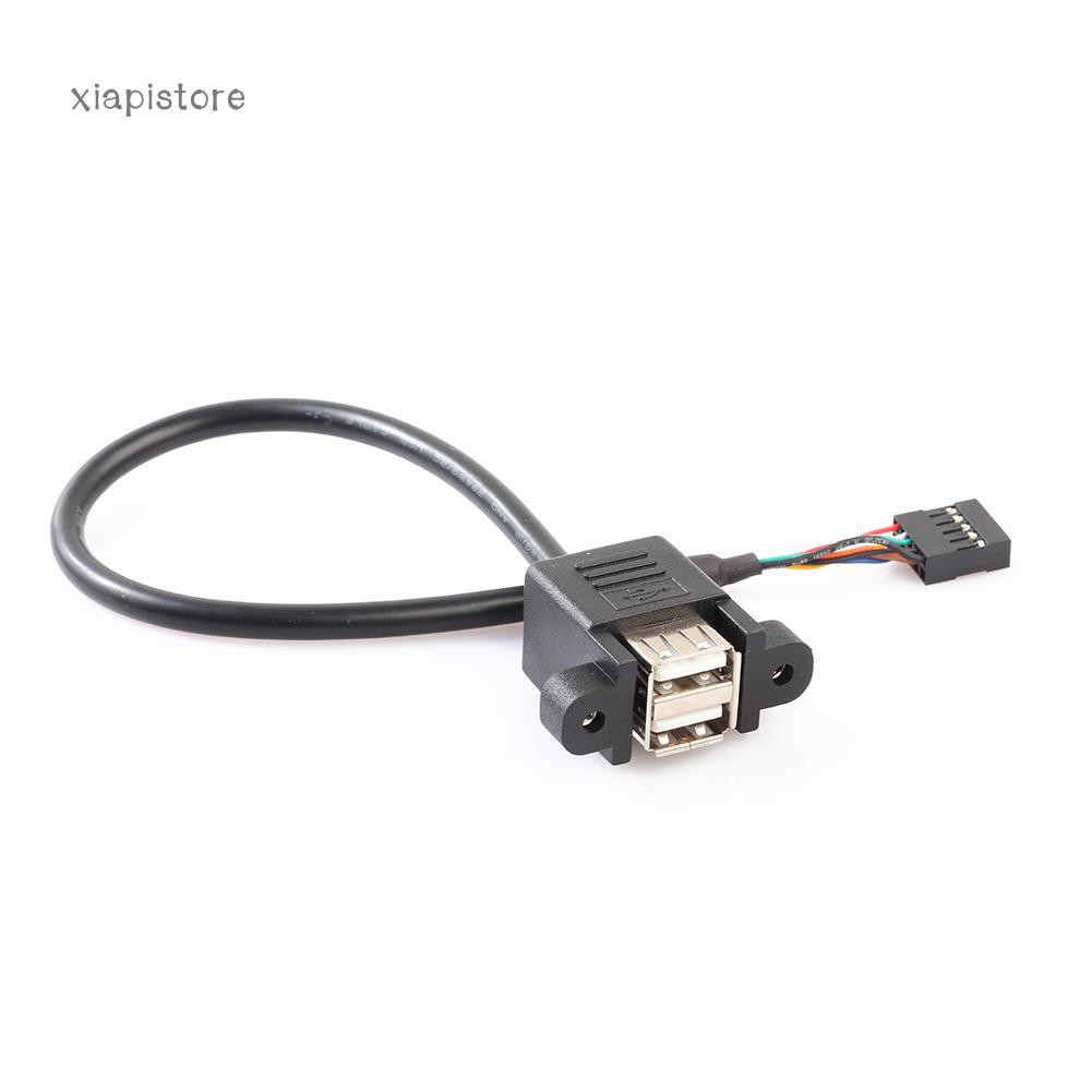 Dây cáp chuyển đổi 30cm đầu 9pin sang cổng USB 2.0