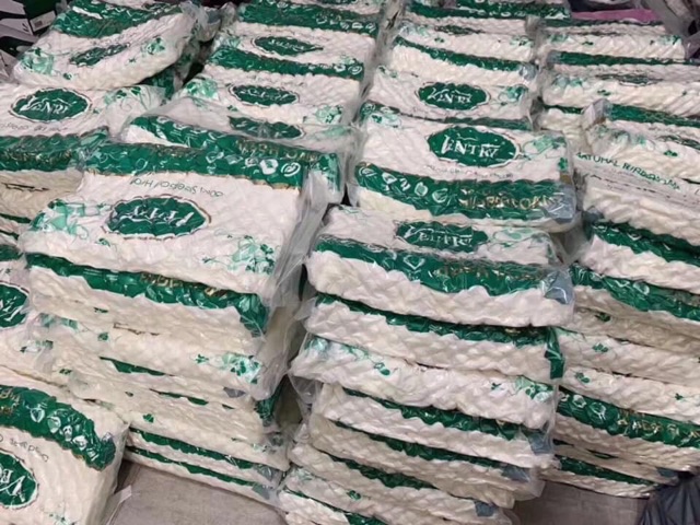 Gối cao su non cao cấp VENTRY siêu êm ái