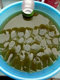 Bột thạch găng xanh