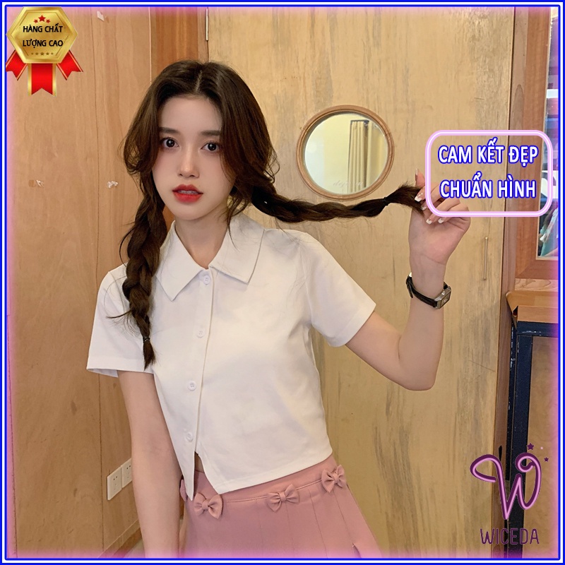 Áo croptop nữ polo tay ngắn vạt chéo có cổ,áo kiểu chất cotton mềm mịn cúc thật 4 màu đen trắng ghi hồng nhạt Wiceda AP4 | BigBuy360 - bigbuy360.vn