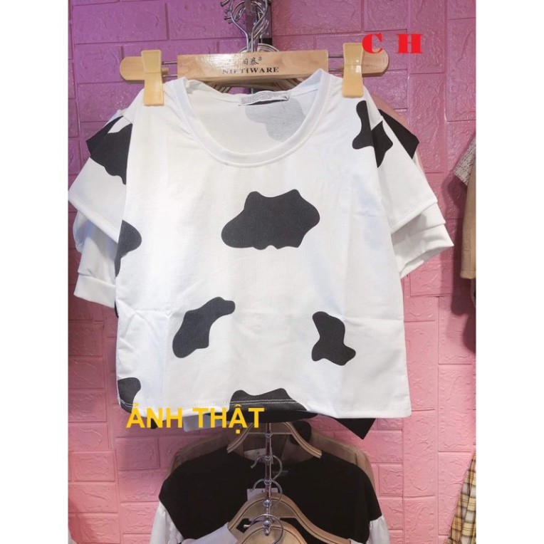 Áo croptop bò sữa CH0421