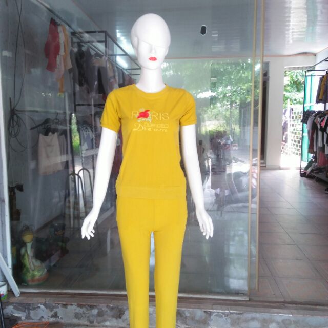 Bộ Paris quần dài Hàng có sẵn tại shop nhận ship và sỉ toàn quốc inbox trực tiếp để được tư vấn Mua hàng nhanh nhất đất