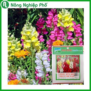 ẨN - Hạt Giống Hoa Mõm Sói PHÚ NÔNG Gói 0,5 Gram