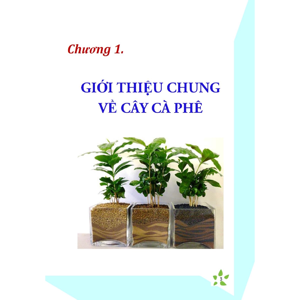 Sách - Bí Quyết Thành Công Kĩ Thuật Trồng Cà Phê Hiệu Quả