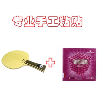 Combo vợt bóng bàn cho người mới 04