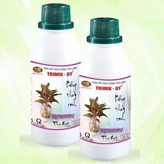 Set 2 chai dung dịch thủy canh kiểng trimix-dt 100ml