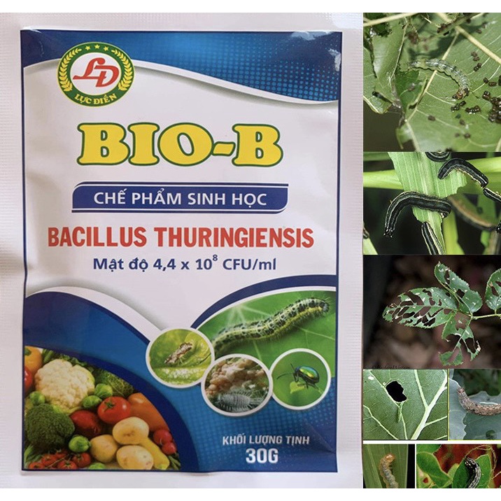 CHẾ PHẨM SINH BIO-B HÀNG CHÍNH HÃNG , HIỆU LỰC NHANH  TRỪ SÂU ,NHỆN ĐỎ , BỌ TRĨ. GÓI KL 30G